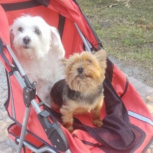 Meet your Posher, Rafael